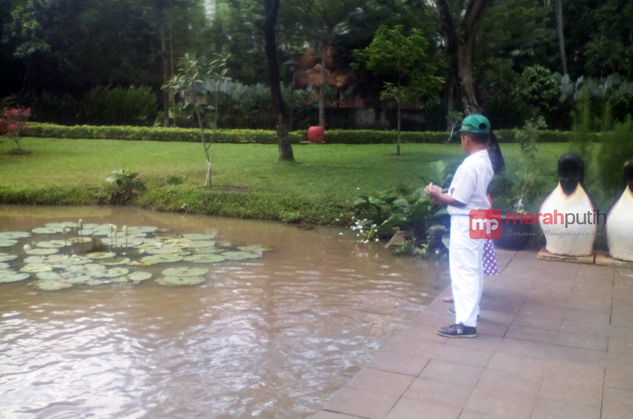 http://server1.merahpoetih.com/gallery/public/2016/04/18/DF8xVC2YcW1460962535.jpg