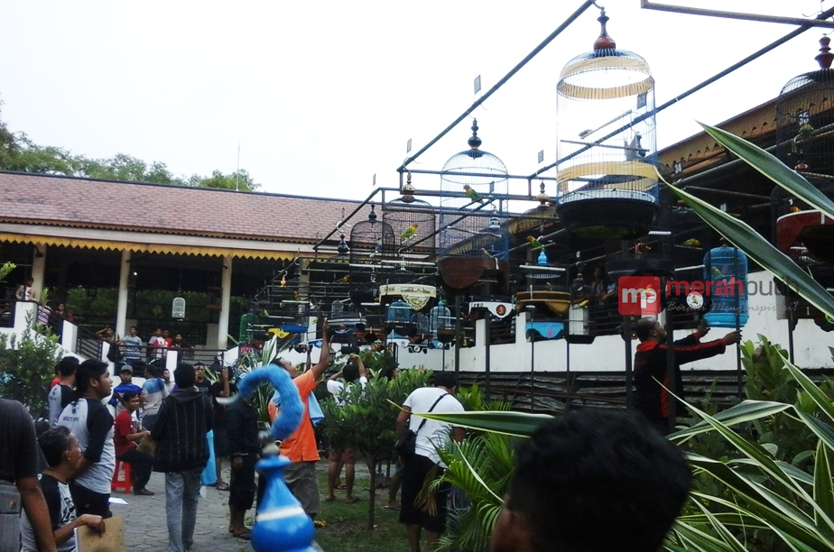 http://server1.merahpoetih.com/gallery/public/2016/05/09/O2VW6o93Iv1462765573.jpg