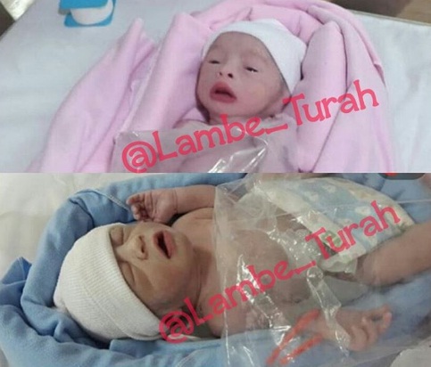 http://server5.merahpoetih.com/gallery/public/2016/11/21/lRy8zYpKTo1479696342.jpg
