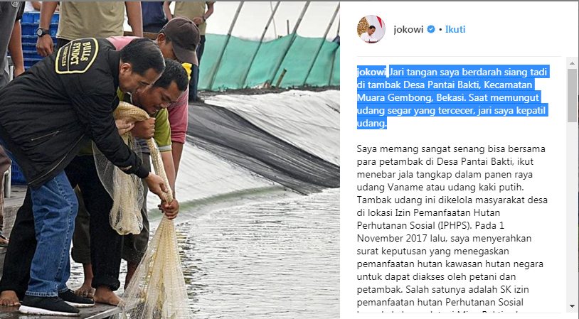 Jokowi kepatil udang