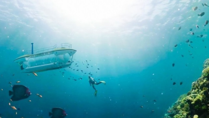 Melihat Keindahan Bawah Laut dengan Kapal Selam Transparan di Vietnam