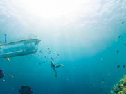 Melihat Keindahan Bawah Laut dengan Kapal Selam Transparan di Vietnam
