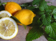 Berbagai Manfaat Lemon Balm Bagi Kesehatan