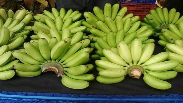 Pisang Mas Tanggamus yang akan diekspor ke China