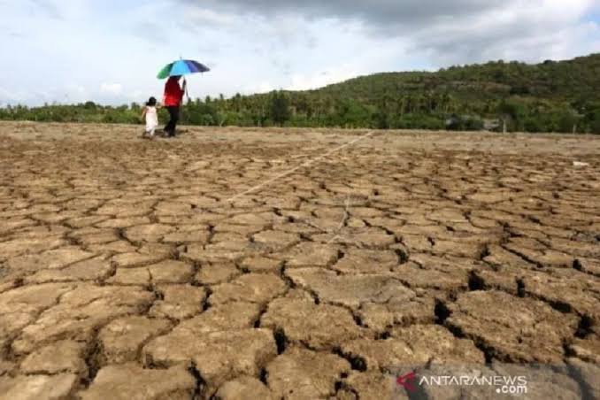 Musim Kemarau, BMKG Ingatkan Bahaya Kebakaran Hutan dan Kekeringan