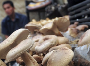 Memanggang, Cara Mendapatkan Vitamin D pada Jamur Secara Optimal