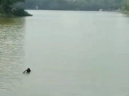 Pesawat Latih Jatuh di Danau Buperta Cibubur, Pilot dan Awak Selamat