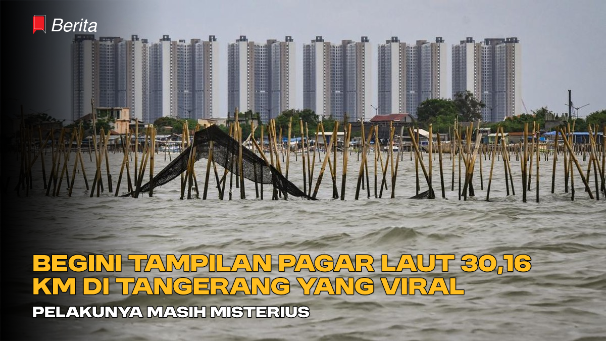 Begini Tampilan Pagar Laut 30,16 KM di Tangerang yang Lagi Viral, Pelakunya Masih Misterius