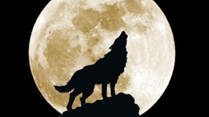 Bulan Serigala, Apa Pula Itu?