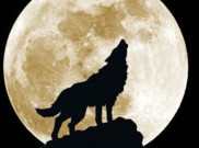 Bulan Serigala, Apa Pula Itu?