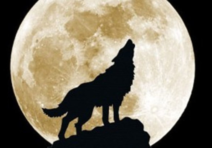 Bulan Serigala, Apa Pula Itu?