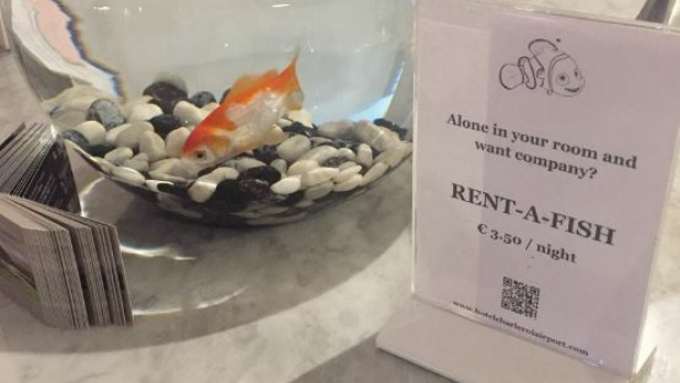 Kesepian? Menginaplah di Hotel ini