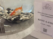 Kesepian? Menginaplah di Hotel ini