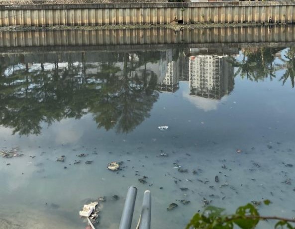 ADB Bersiap Gelontorkan Pembiayaan Iklim USD 100 Miliar