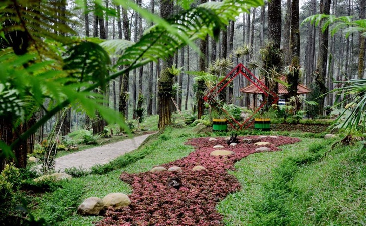 Pemandangan di Orchid Forest Cikole