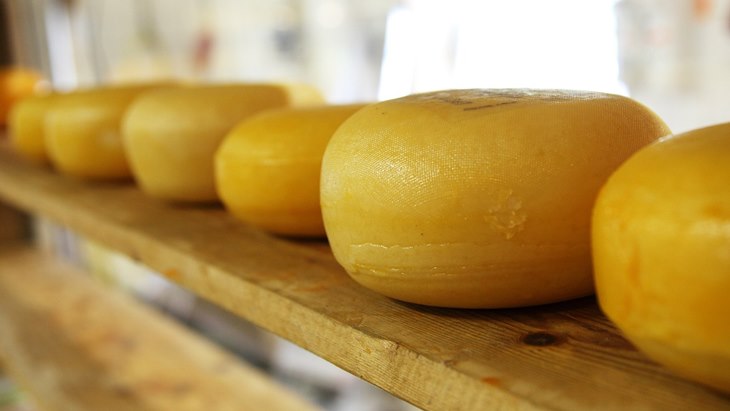 6 Varian Keju Manca Negara yang Lezat
