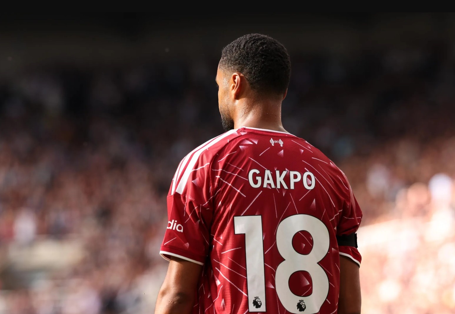 Bradley Barcola Masuk, Bagaimana Nasib Cody Gakpo di Liverpool? Ini Jawaban Andoni Iraola