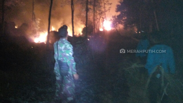 Kebakaran Hebat Landa Taman Nasional Gunung Ciremai