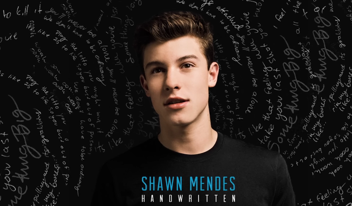 Lirik Lagu Imagination Shawn Mendes, Lengkap dengan Terjemahannya
