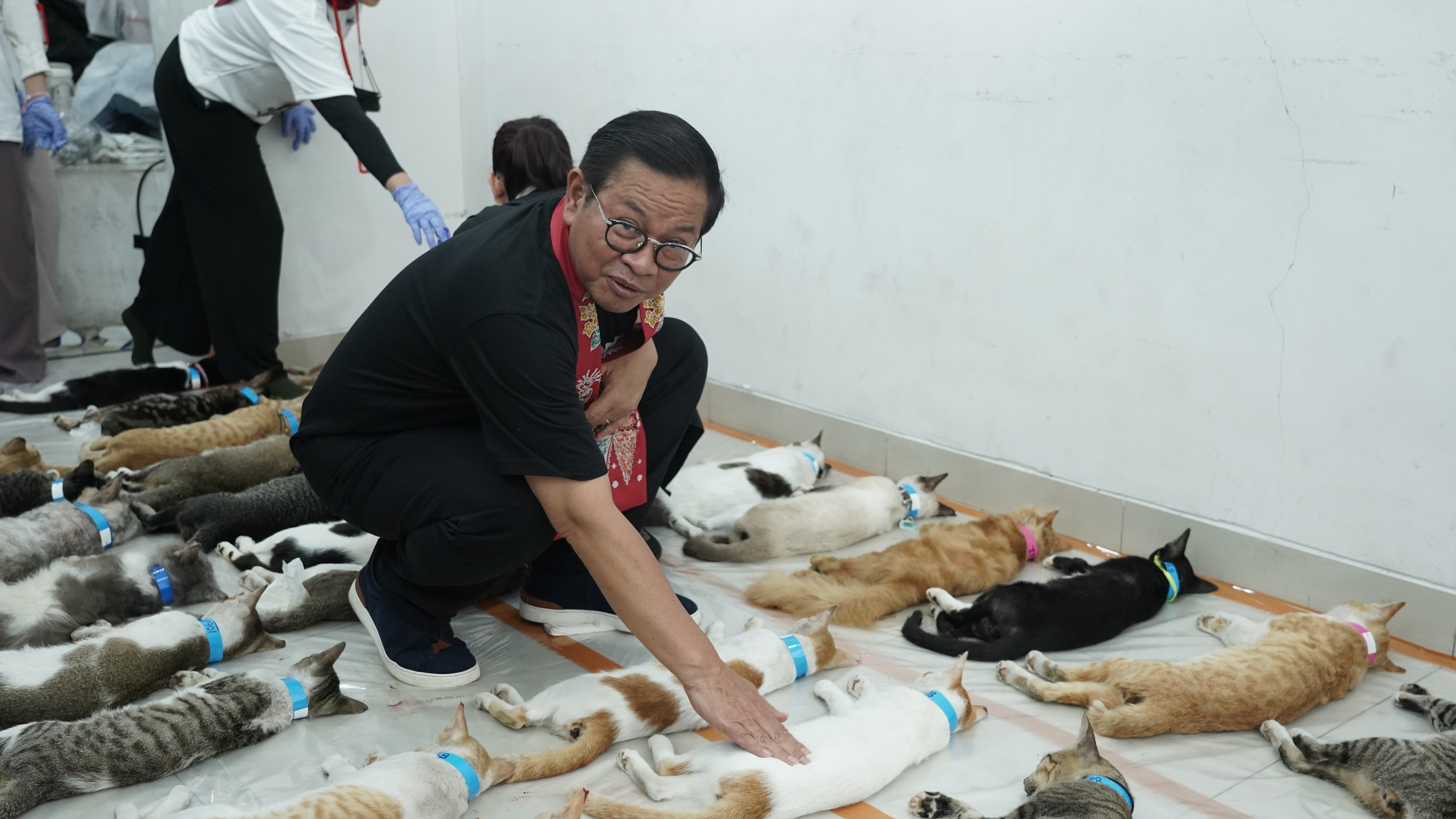Pramono Siap Manjakan Para Cat Lover Maupun Dog Lover