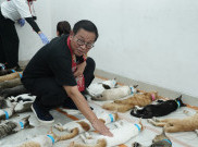 Pramono Siap Manjakan Para Cat Lover Maupun Dog Lover