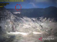 Tangkuban Perahu Terbakar, BPBD Sarankan Penutupan Sementara