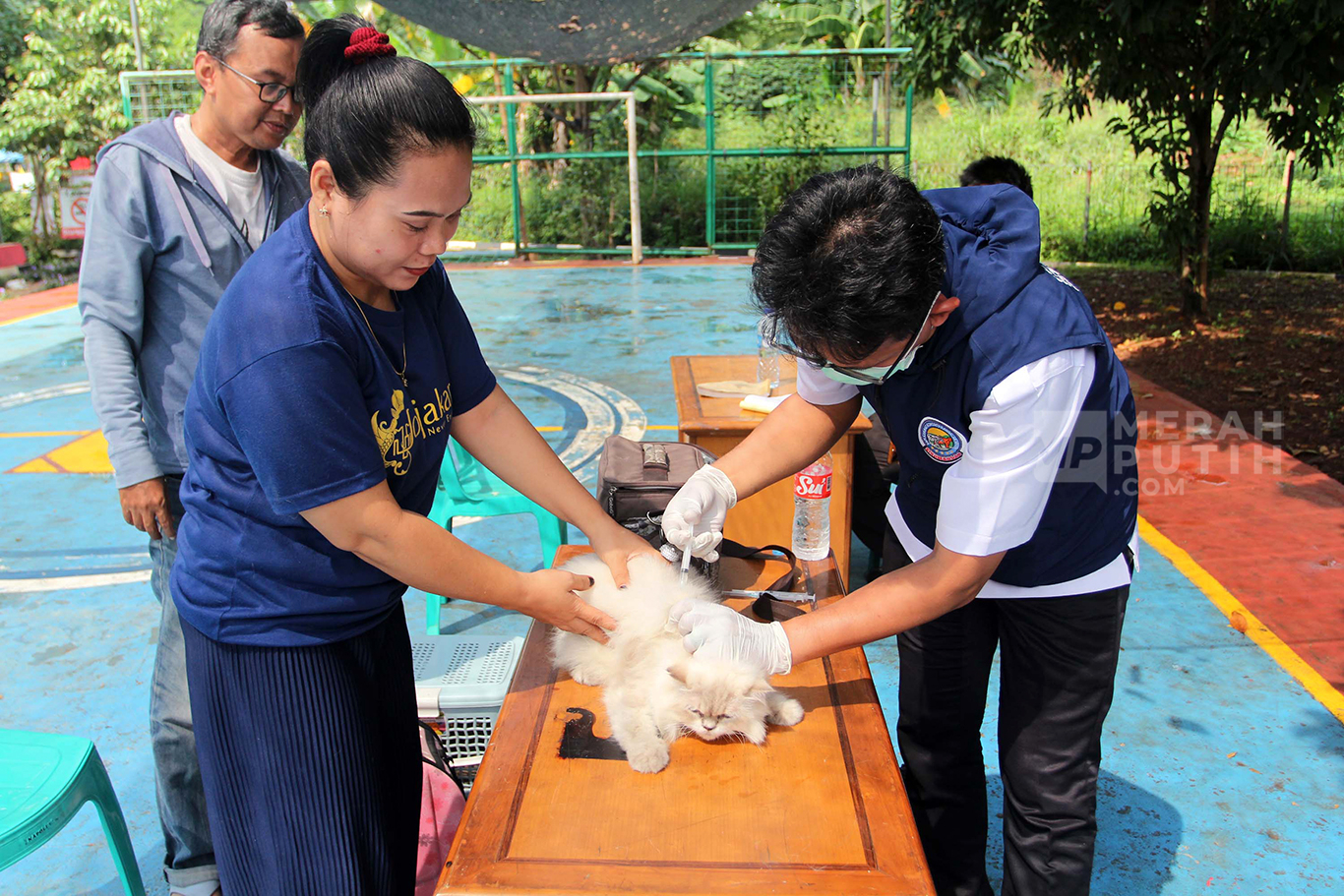 Puskewan Gelar Vaksin Rabies Gratis untuk Hewan Peliharaan Cegah Penularan Penyakit di Jakarta