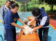 Puskewan Gelar Vaksin Rabies Gratis untuk Hewan Peliharaan Cegah Penularan Penyakit di Jakarta