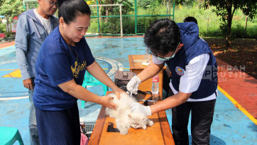 Puskewan Gelar Vaksin Rabies Gratis untuk Hewan Peliharaan Cegah Penularan Penyakit di Jakarta