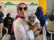 Dari Kucing sampai Monyet di Bandung Disuntik Vaksin Rabies