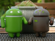 Pentingnya Patch Keamanan pada Ponsel Android, Jangan Abaikan