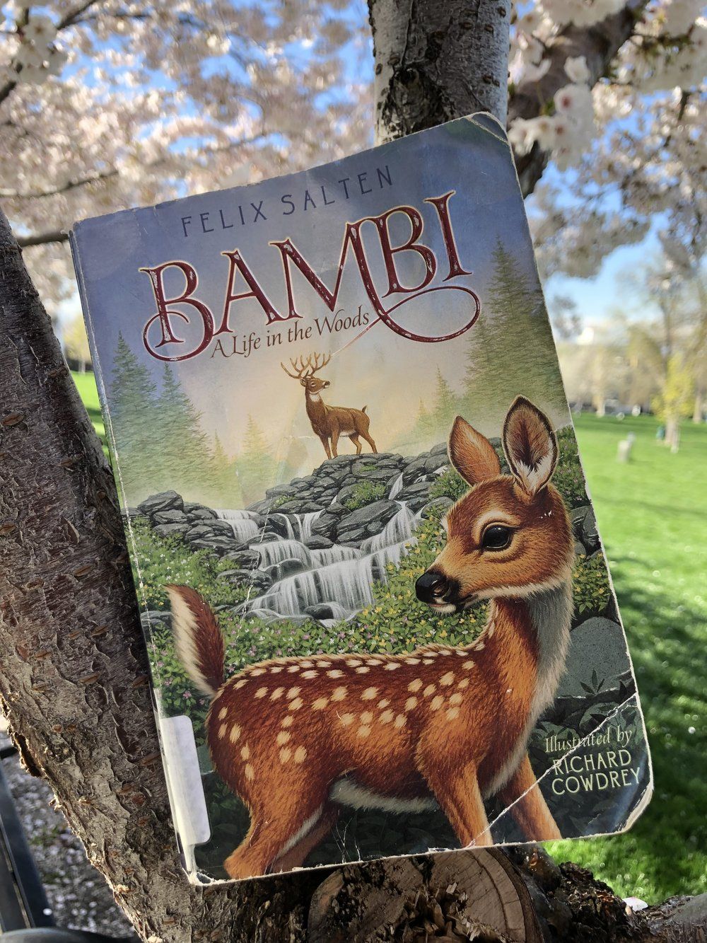 Beres Film 'Mulan', Disney Segera Garap 'Bambi' Versi Live-Action