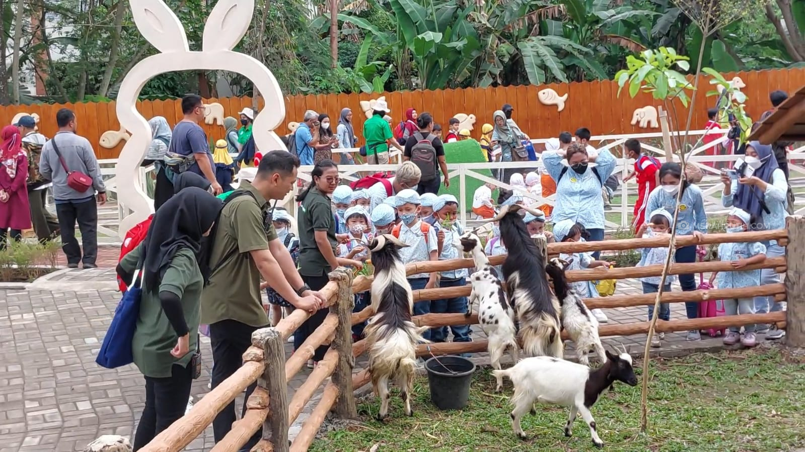 Baru Sepekan Dibuka, Solo Safari Dikunjungi 14.000 Orang