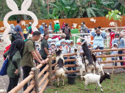 Baru Sepekan Dibuka, Solo Safari Dikunjungi 14.000 Orang