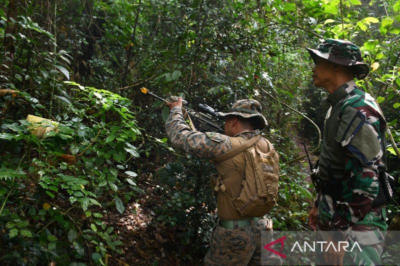  Tentara AS, Jepang, Korsel, dan TNI Latihan Bertahan Hidup di Hutan Lampung 