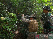  Tentara AS, Jepang, Korsel, dan TNI Latihan Bertahan Hidup di Hutan Lampung 