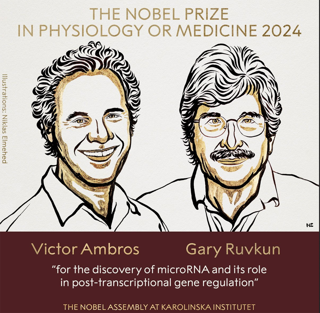 victor ambros dan gary ruvkun