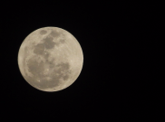 Sebentar Lagi Fenomena 'Supermoon', BMKG Minta Masyarakat Pesisir Waspada