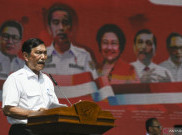 Luhut Komandoi Percepatan Investasi di IKN