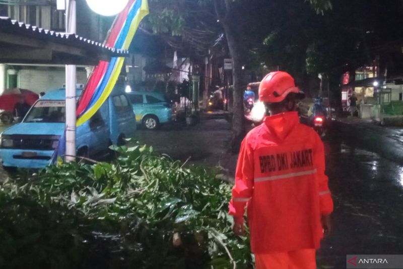 Hujan Deras Picu Pohon Tumbang di Jakarta, Timpa Ruko Hingga Motor
