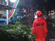 Hujan Deras Picu Pohon Tumbang di Jakarta, Timpa Ruko Hingga Motor