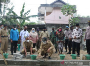 Penyebab Angka Kemiskinan di Kulon Progo Tinggi