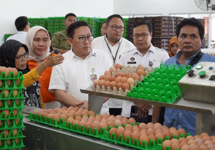 Produksi Telur Meningkat, Kementan Lakukan Stabilisasi Harga