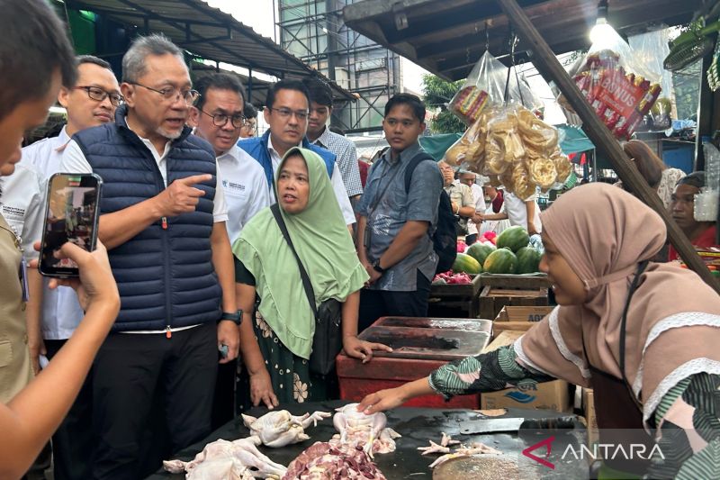 Cek Harga Pasar, Zulhas Bilang Ayam Sekilo Rp 29.000 Terlalu Murah
