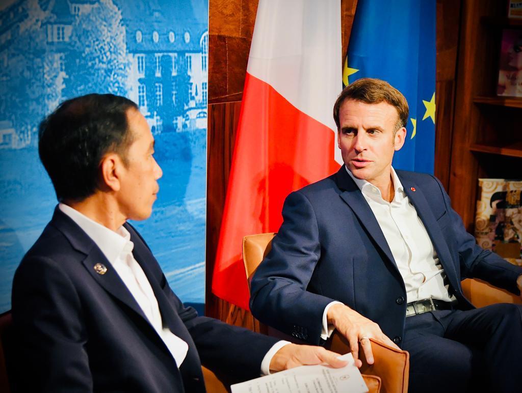 Jokowi Bahas Perdamaian Ukraina dan Rusia dengan Presiden Macron