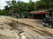 Ruas Jalan ke Sejumlah Destinasi Wisata Rusak, Asita Sumsel Tagih Komitmen Pemerintah