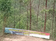 Pemerintah Janji Berdayakan dan Tingkatkan Keterampilan Penduduk Sekitar IKN