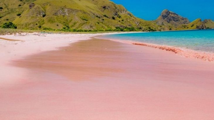 5 Pantai 'Pink' Terbaik di Dunia Salah Satunya Ada di Indonesia