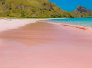 5 Pantai 'Pink' Terbaik di Dunia Salah Satunya Ada di Indonesia