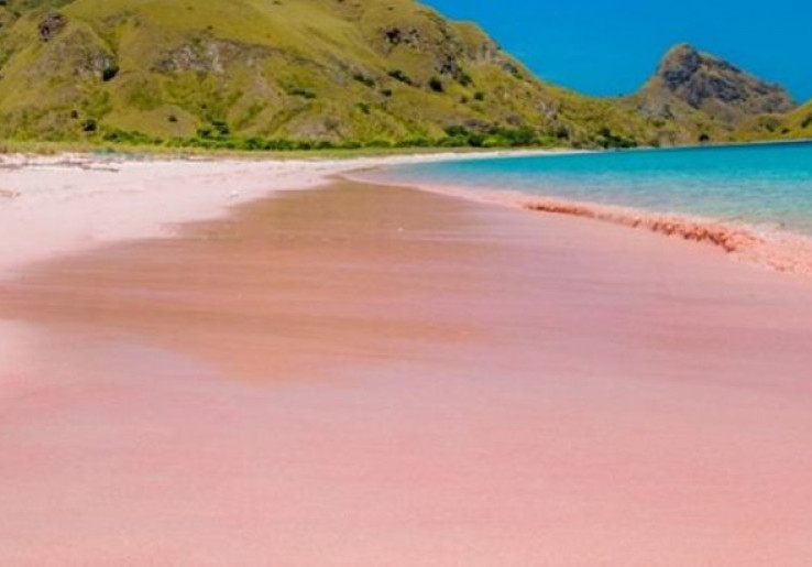 5 Pantai 'Pink' Terbaik di Dunia Salah Satunya Ada di Indonesia